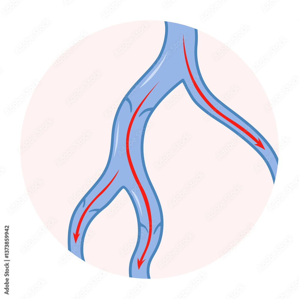 Varicose veins. Blue blood vessel visible through the skin. Vascular disease diagnostic and treatment. Venous insufficiency medical