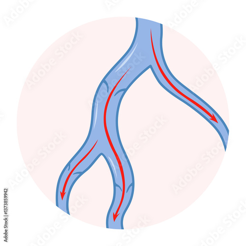 Obraz na płótnie Varicose veins. Blue blood vessel visible through the skin. Vascular disease diagnostic and treatment. Venous insufficiency medical w salonie