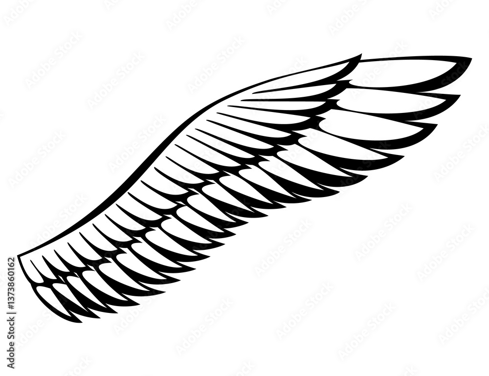 Wings sketch. Stylized birds wings. Hand drawn contoured stiker wing in open position. design elements in coloring style