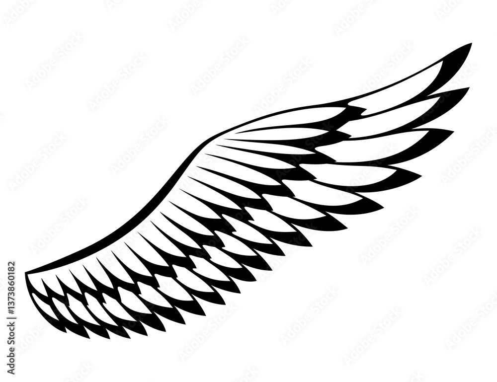 Wings sketch. Stylized birds wings. Hand drawn contoured stiker wing in open position. design elements in coloring style