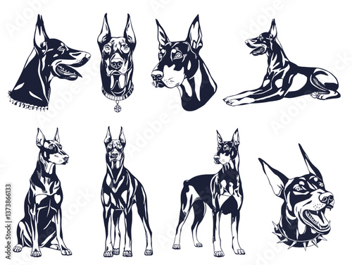 Doberman Pinscher Illustration Collection