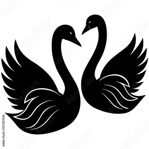 black swan vector