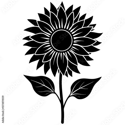 sunflower vector illustration