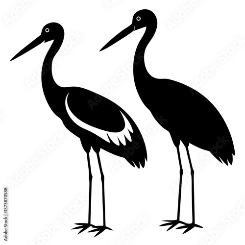 stork and baby