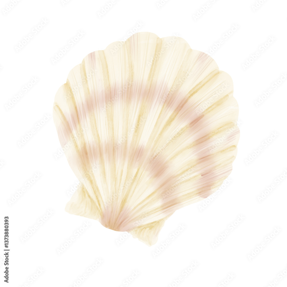 The shell is a round scallop from the bottom of the ocean. Watercolor illustration. Beige scallop shell in the shape of a fan, isolated on a white background. For marine design or card The shell is a round scallop from the bottom of the ocean. Watercolor illustration. Beige scallop shell in the shape of a fan, isolated on a white background. For marine design or card