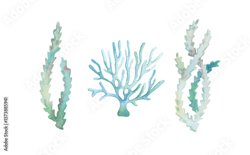 Watercolor illustration of seaweed and corals