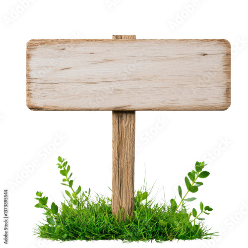 Blank wooden sign with grass and foliage at the base.