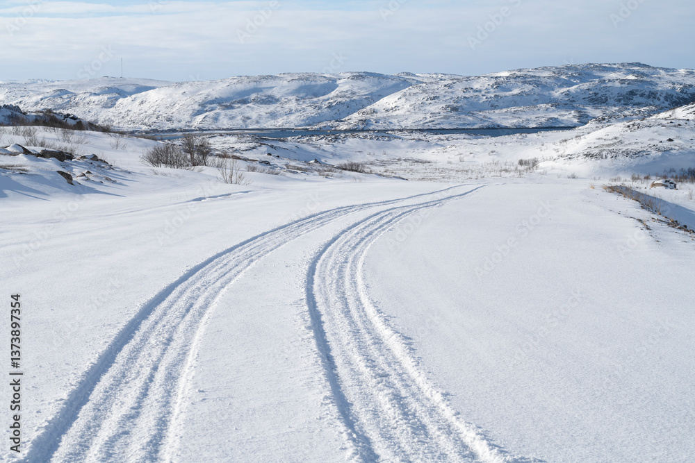 Φωτογραφία Car tracks on an abandoned road to Zavalishina Bay on a sunny March day