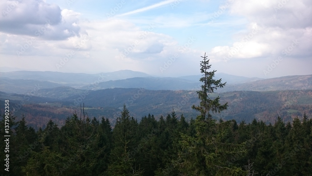 Fototapeta premium widok na góry latem