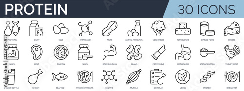 Set of 30 outline icons related to protein. Linear icon collection. Editable stroke. Vector illustration