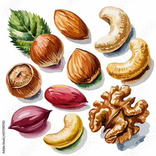 Watercolor Assorted Nuts with Leaves Illustration