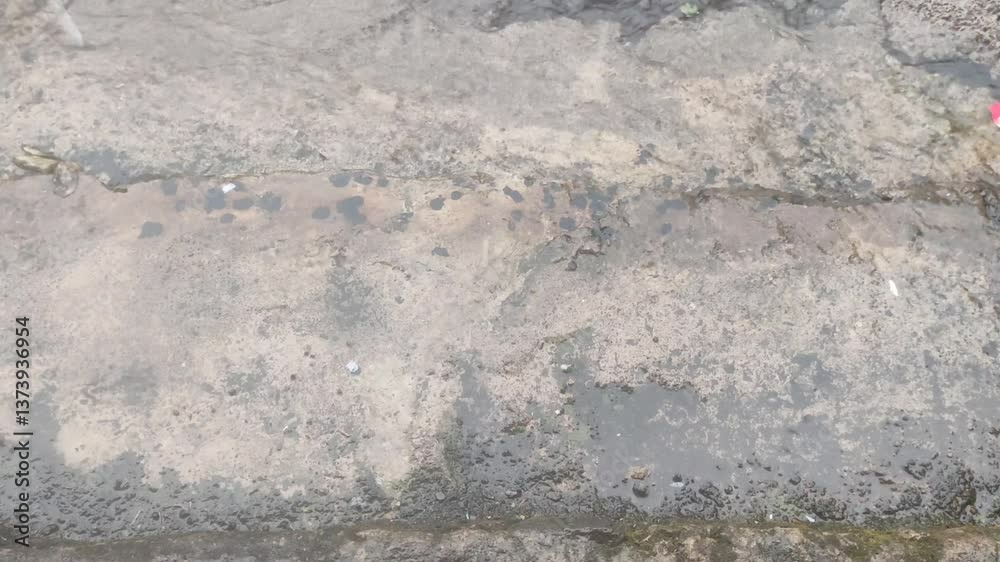 Light rain wet the floor Light rain wet the floor