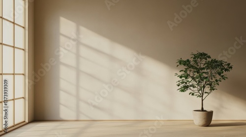 minimalist interior design  neutral tones  mindfulness Minimalistic interior featuring a potted plant and soft sunlight casting shadows on the wall.
