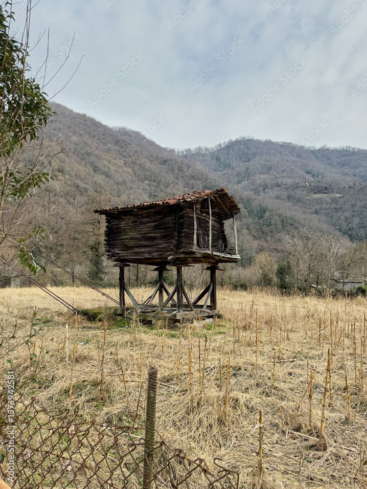 Old Wooden Granary in a Mountainous Landscape