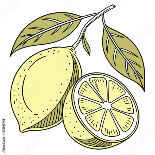 lemon clipart illustration white background