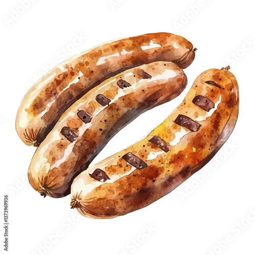 A watercolor vector of bratwurst, isolated on a white background. Bratwurst vector.

