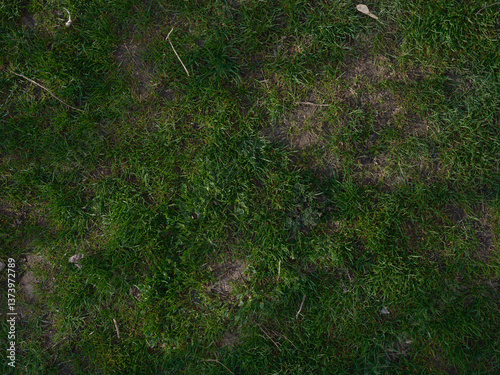 Top view and close-up of texture sparse grass lawn with uneven coverage and visible soil spots.