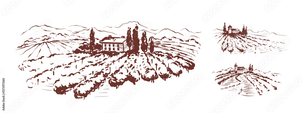 Obraz premium Abstract landscape with vineyard. Set vector design elements for label with italian landscape, graphic style, hand drawn author's drawing