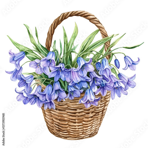 A watercolor vector of a bluebell bouquet in a basket, isolated on a white background. Bluebell bouquet vector.

