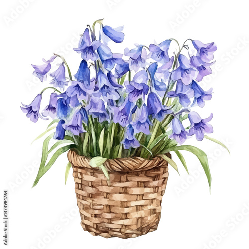 A watercolor vector of a bluebell bouquet in a basket, isolated on a white background. Bluebell bouquet vector.

