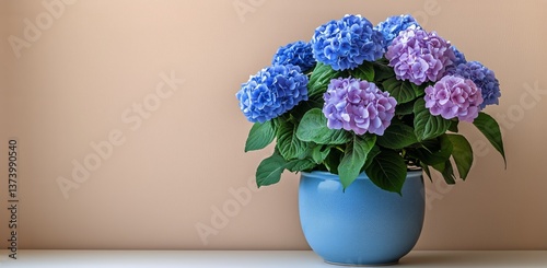 Vibrant Hydrangea Flowers in a Blue Pot on a Soft Blue Background