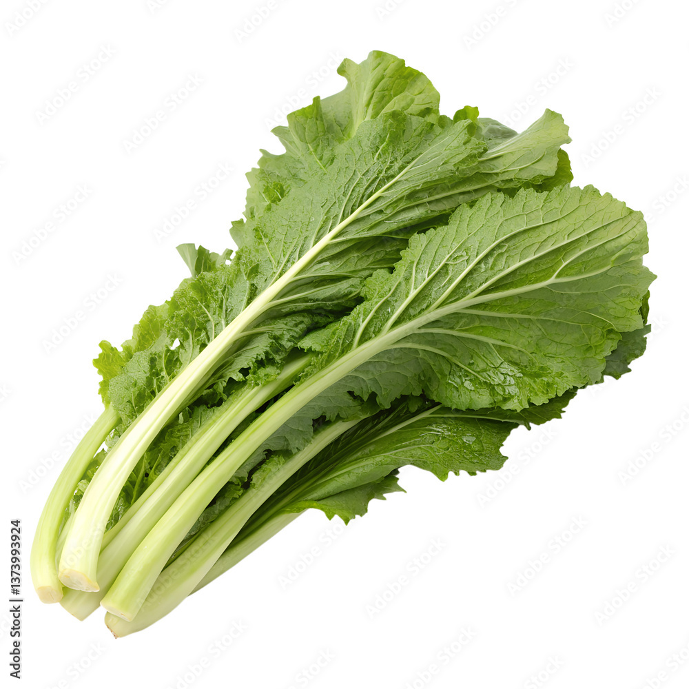 Kyona (Kyoto mustard greens), isolated on a transparent background Kyona (Kyoto mustard greens), isolated on a transparent background
