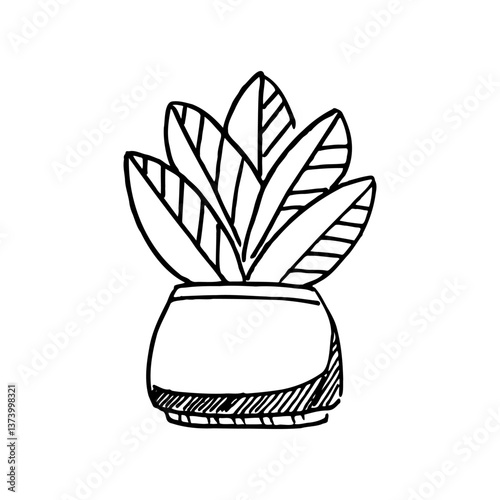 Hand drawn illustration design of flowers planted in cute pots