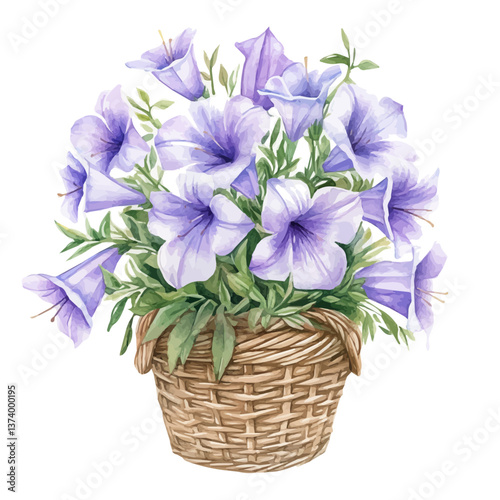 A watercolor vector of a bellflower bouquet in a basket, isolated on a white background. Bellflower bouquet vector.

