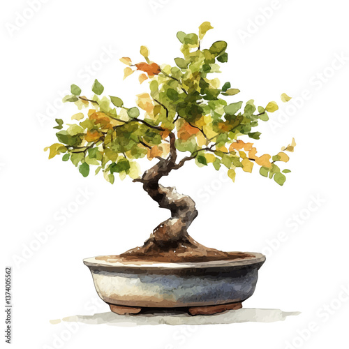 A watercolor vector of a beech bonsai, isolated on a white background. Beech bonsai vector.

