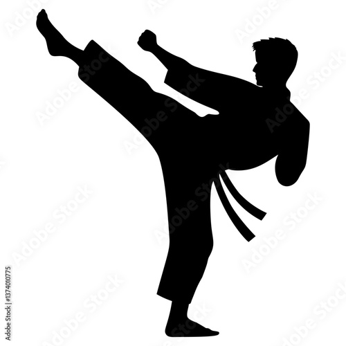 karate kick silhouette, martial arts, combat training vector illustration