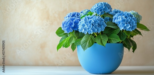 Vibrant Hydrangea Flowers in a Blue Pot on a Soft Blue Background