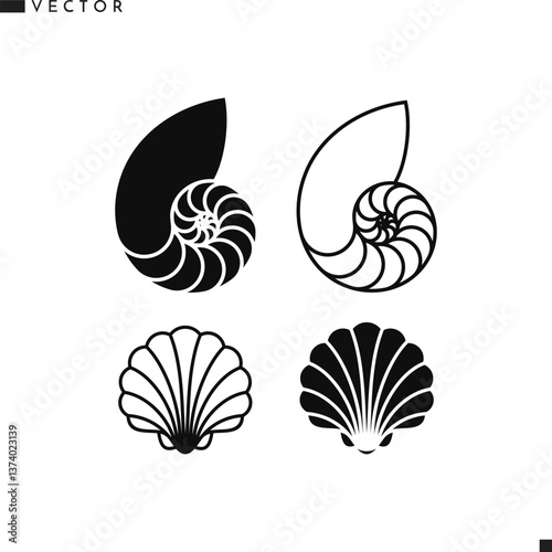 Scallop shell and nautilus shell. Sea life vector  