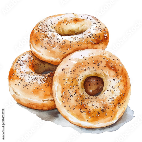 A watercolor vector of bagels, isolated on a white background. Bagels vector.

