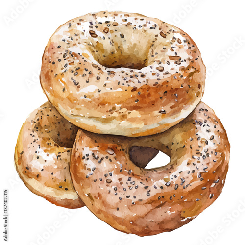 A watercolor vector of bagels, isolated on a white background. Bagels vector.

