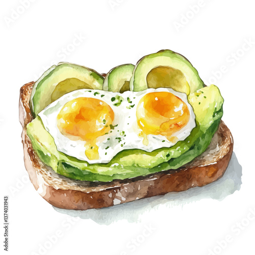 A watercolor vector of avocado toast, isolated on a white background. Avocado toast vector.

