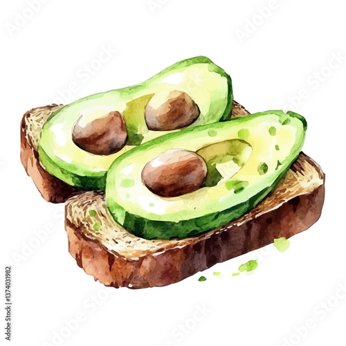 A watercolor vector of avocado toast, isolated on a white background. Avocado toast vector.

