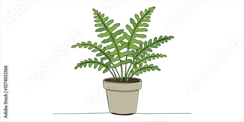 green potted nephrolepis fern plant continuous single line art drawing sketch on white background