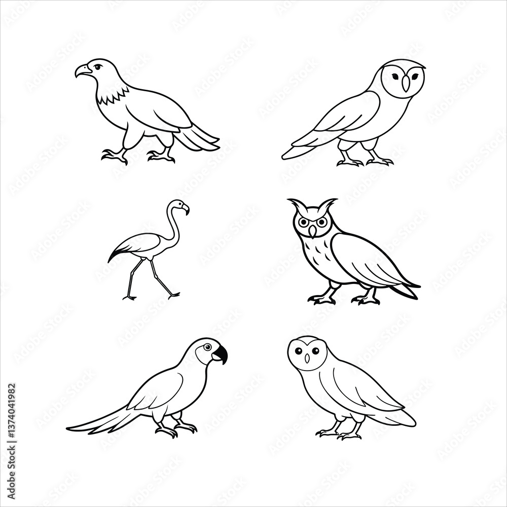 Fototapeta premium Bundle of Bald Eagle, Barn Owl, Flamingo, Great Horned Owl, Macaw, Snowy Owl Birds Line Art Vector Illustration