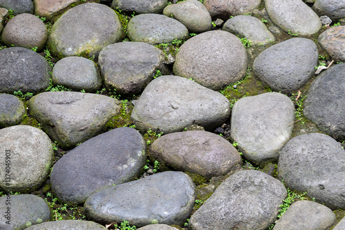 Stone path texture. Close-up of a path made of large, round, gray stones. Small patches of green moss between the stones.
