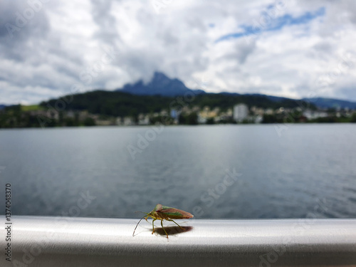 Switzerland, Luzern, Vierwaldstättersee