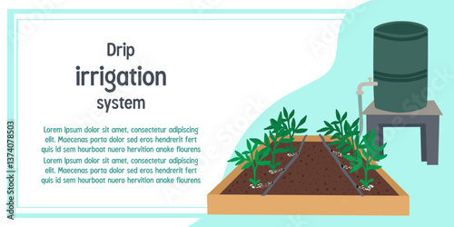 Vector illustration of a drip irrigation system featuring plants in a garden bed. Includes water barrel and hoses