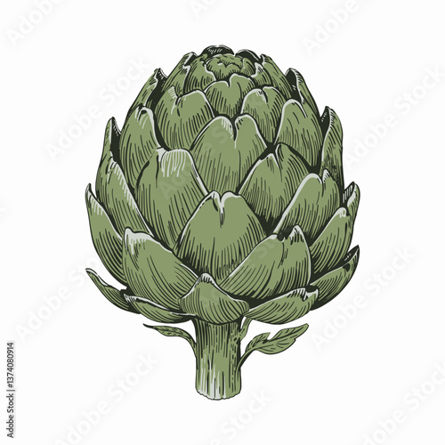 Woodcut Style Artichoke Illustration in Black and White