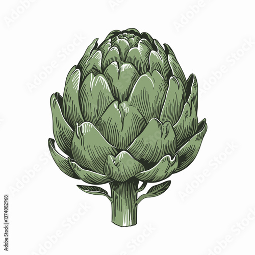 Woodcut Style Artichoke Illustration in Black and White