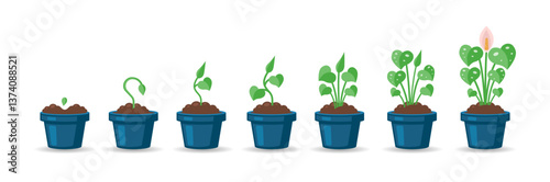 Growing houseplant collection in a flat design