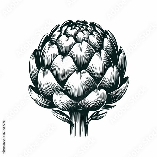 Woodcut Style Artichoke Illustration in Black and White