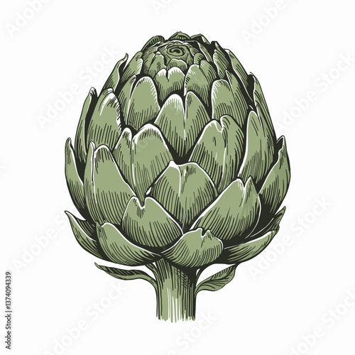 Woodcut Style Artichoke Illustration in Black and White