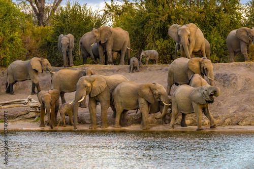 Photography Africa, Zambezi River