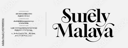 Elegant Font Uppercase Lowercase And Number. Classic Lettering Minimal Fashion Designs. Typography modern serif fonts regular decorative vintage concept. vector illustration