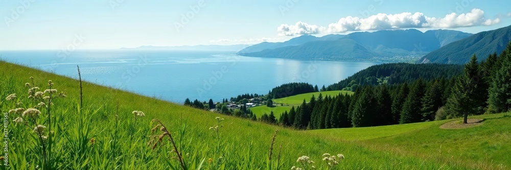 Fototapeta premium Lush green fields and rugged coastline of San Juan Island, Washington, tranquil, exploration
