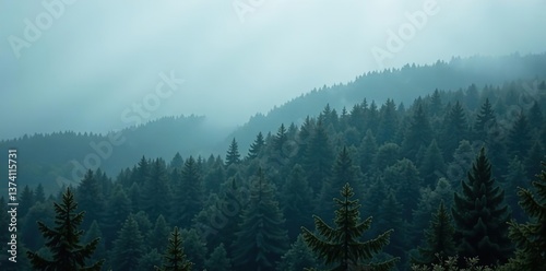 Mysterious fog blankets the dense forest, creating an eerie and atmospheric scene,  trees,  landscape